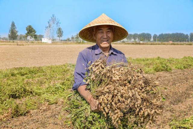 “花生上树”闹剧：AI翻车背后<strong></p>
<p>剧场</strong>，我们都在弄丢常识？