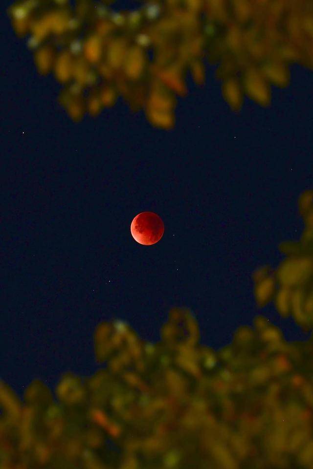 刷屏朋友圈<strong></p>
<p>free价格</strong>!“红月亮”高清大图来了