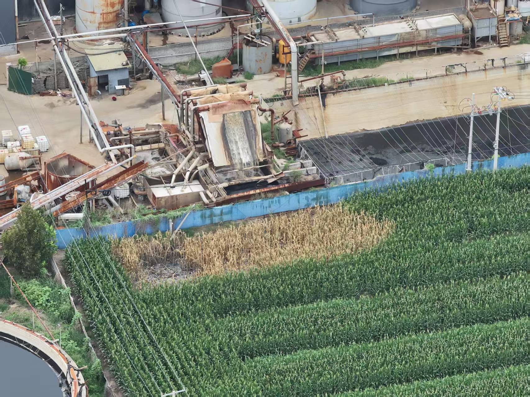 河北柏乡:造纸厂污水外排大片农作物致死引关注<strong></p>
<p>free价格</strong>！