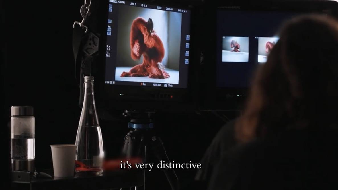 McQueen 2025 秋冬广告幕后故事