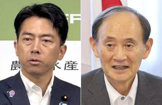 黑锅背完石破茂被赶下台<strong></p>
<p>free价格</strong>,下届日本首相人选,有个“反华”魔怔人