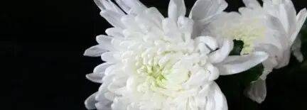 乌军士兵乔装成俄军<strong></p>
<p>free价格</strong>,与俄士兵寒暄,随后趁其不备将两名俄军枪杀,无人机拍下全过程