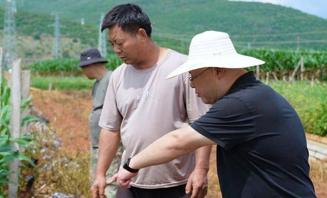 弥勒“新哨经验”<strong></p>
<p>free价格</strong>,全州推广!