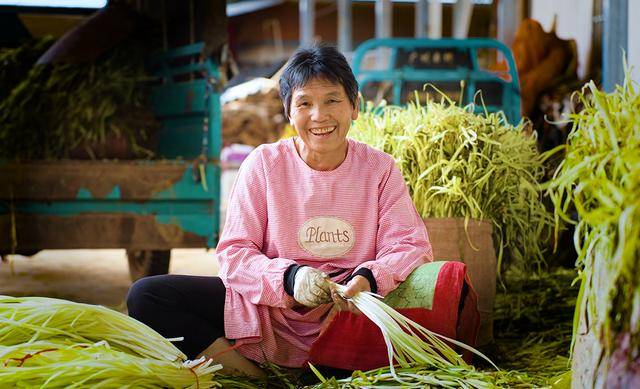 弥勒“新哨经验”<strong></p>
<p>free价格</strong>,全州推广!