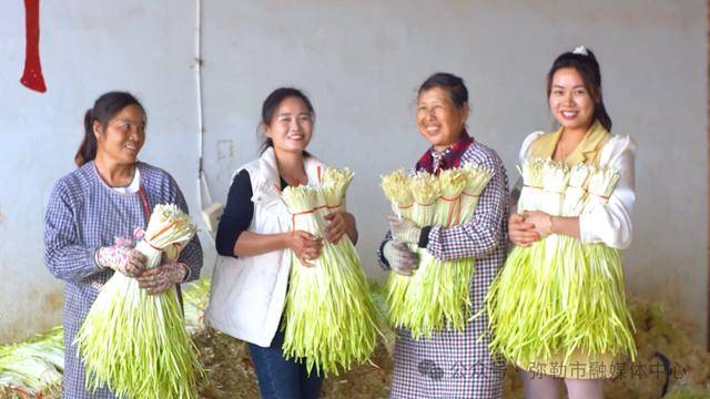 弥勒“新哨经验”<strong></p>
<p>free价格</strong>,全州推广!