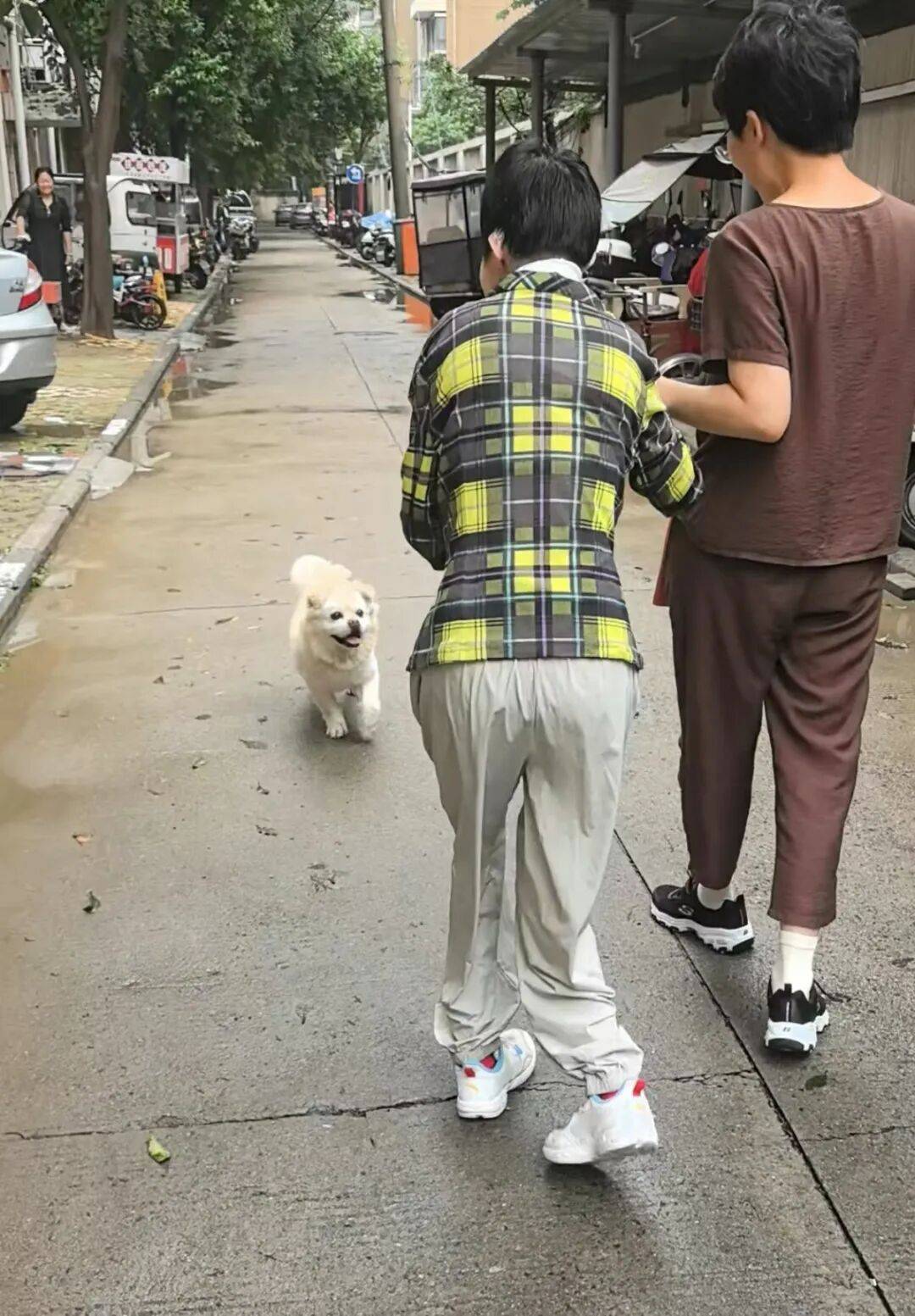 医生断言“活不过2岁”的郑州罕见病女孩<strong></p>
<p>free价格</strong>，24岁“带伤出征”，开启西藏之行