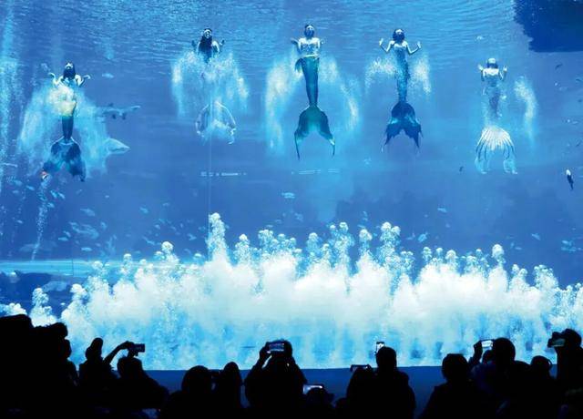 海洋公园<strong></p>
<p>肖毅虚拟币交易</strong>,养不起虎鲸了