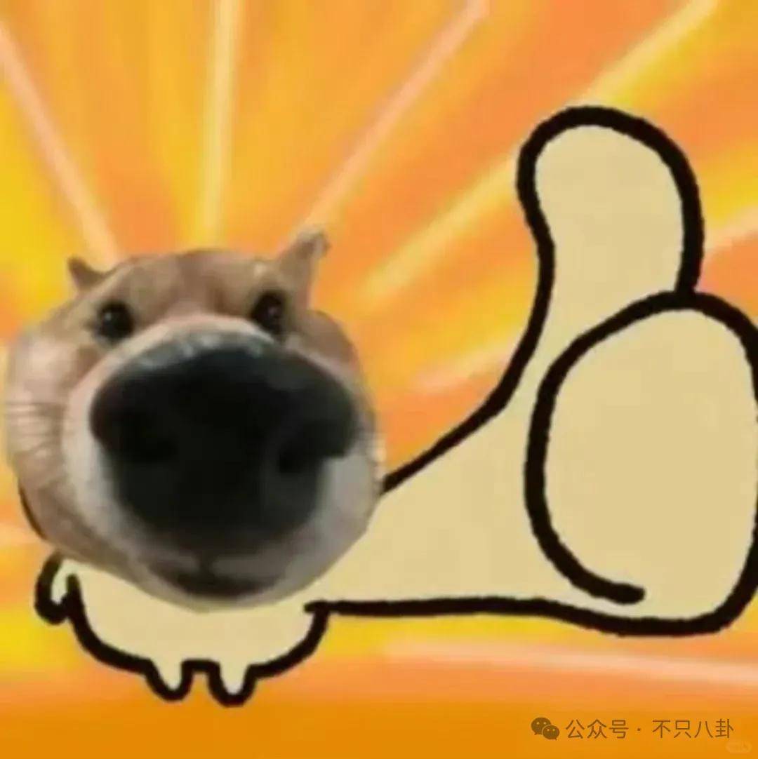 姐终于离了<strong></p>
<p>传奇</strong>，这次总算是摆脱不靠谱的老公和强势的婆婆了！