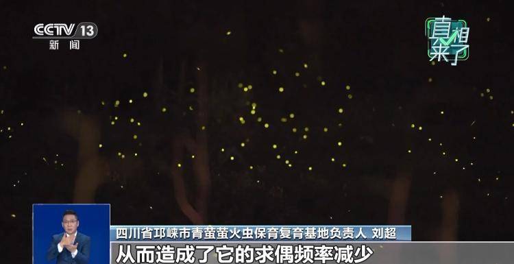 网传萤火虫濒临灭绝<strong></p>
<p>传奇</strong>，是真的吗？