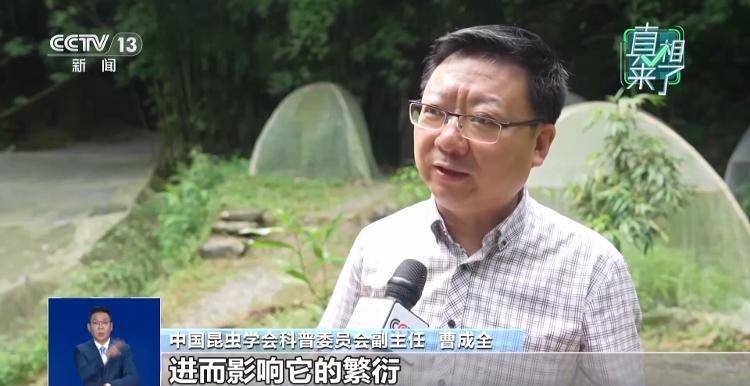 网传萤火虫濒临灭绝<strong></p>
<p>传奇</strong>，是真的吗？