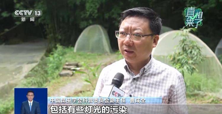 网传萤火虫濒临灭绝<strong></p>
<p>传奇</strong>，是真的吗？