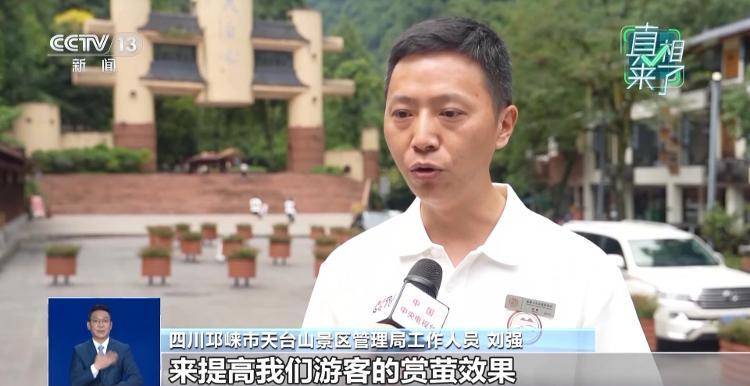 网传萤火虫濒临灭绝<strong></p>
<p>传奇</strong>，是真的吗？