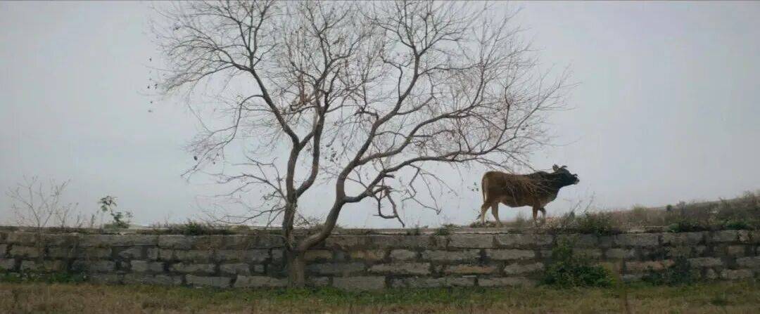 城市打工人<strong></p>
<p>传奇</strong>，花十几万回村给父母补缴社保