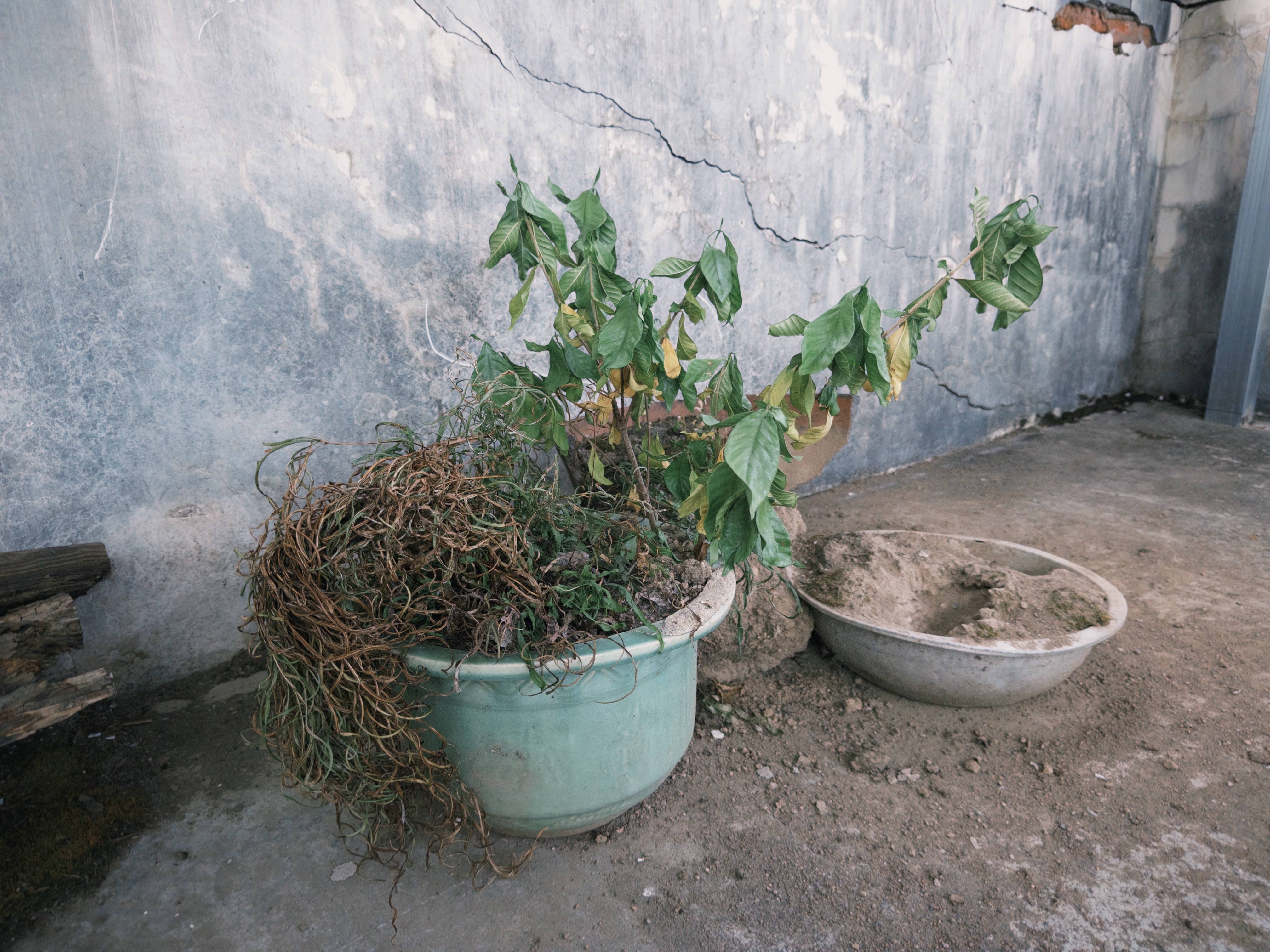 七旬母亲卖掉儿子3万斤藏书 称读书害了<strong></p>
<p>虚拟币产生方法</strong>他