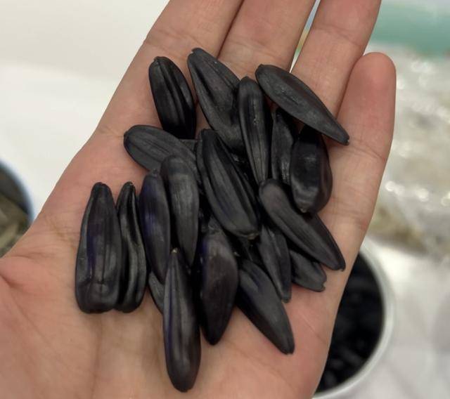 紫色向日葵、多彩胡萝卜、双色火龙果亮相青岛<strong></p>
<p>虚拟币挖矿整治措施</strong>,种子盛会变身“未来食物实验室”