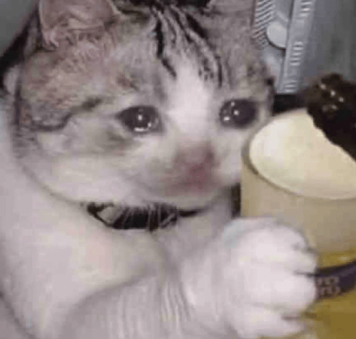 “不亚于春节回家”！凌晨5点<strong></p>
<p>高材生虚拟币案例</strong>，深圳有人已经堵在路上……