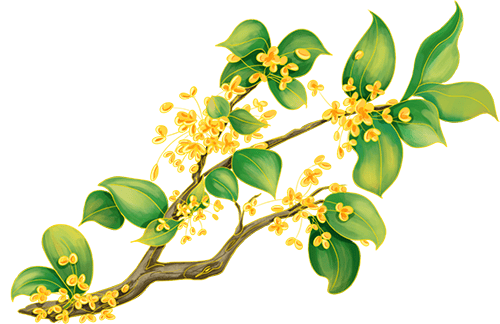 国庆、中秋假日期间天气预报新鲜出炉<strong></p>
<p>高材生虚拟币案例</strong>!