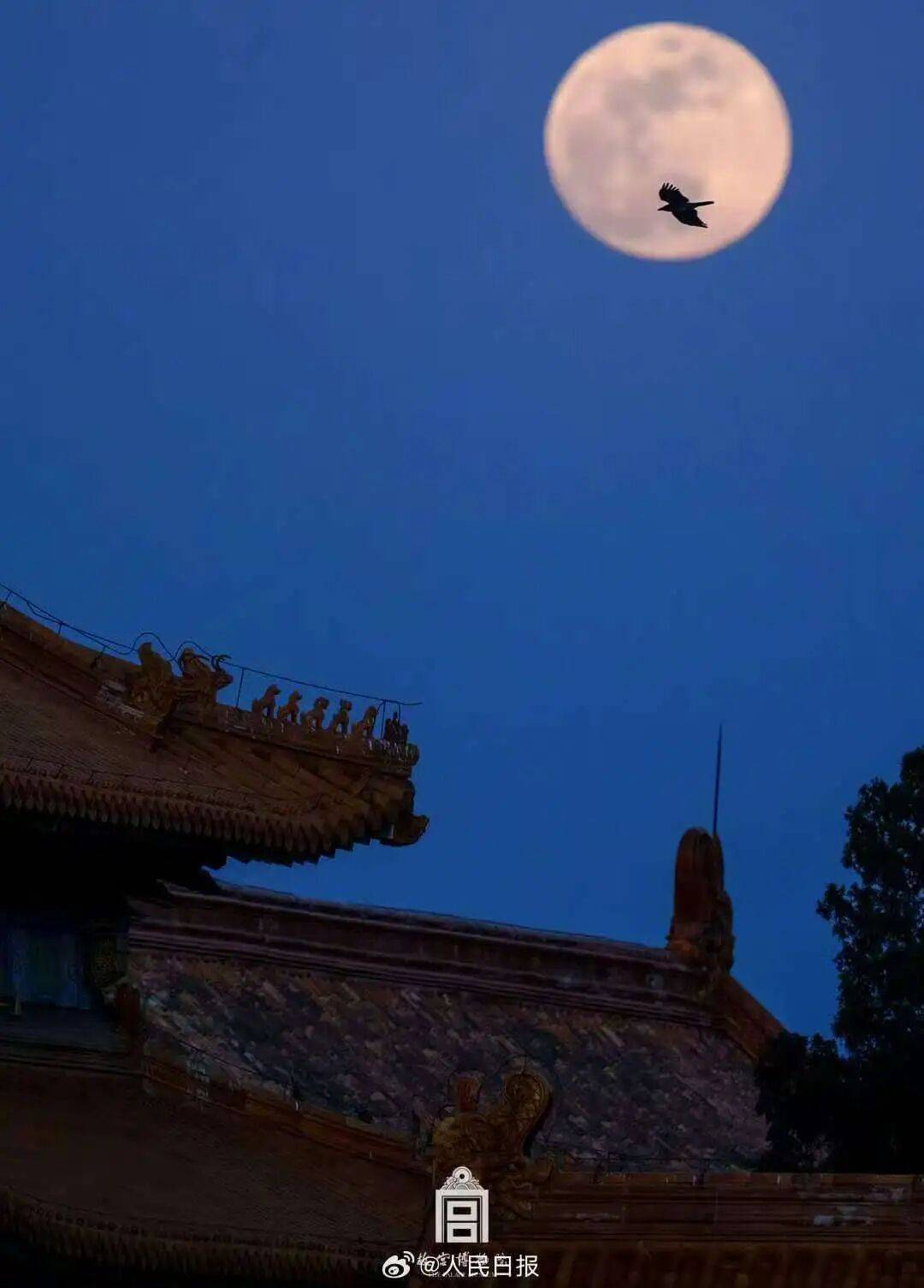 国庆、中秋假日期间天气预报新鲜出炉<strong></p>
<p>高材生虚拟币案例</strong>!