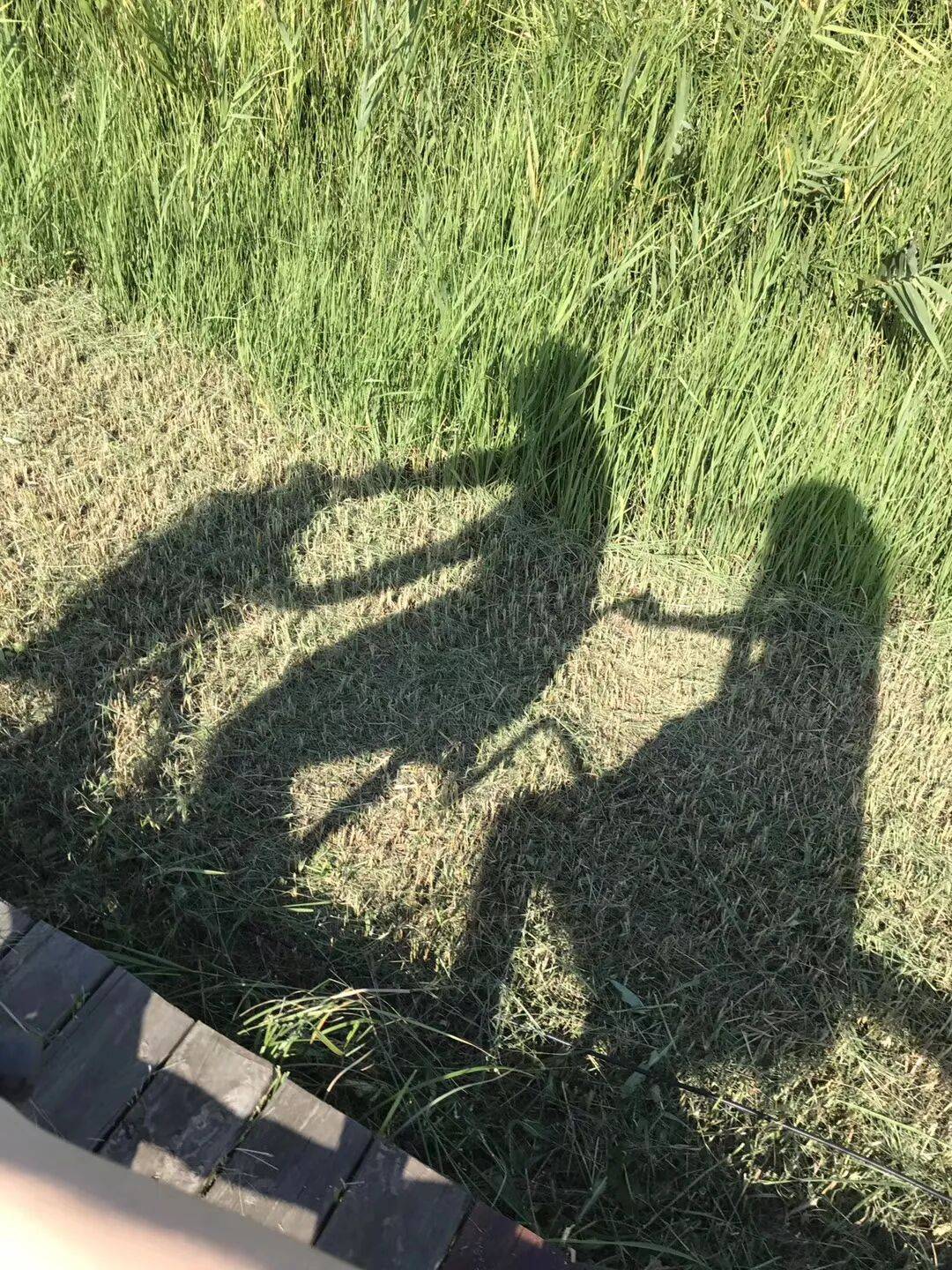 纸质火车票退场<strong></p>
<p>高材生虚拟币案例</strong>,每道折痕里都藏着远方、爱情与山河记忆