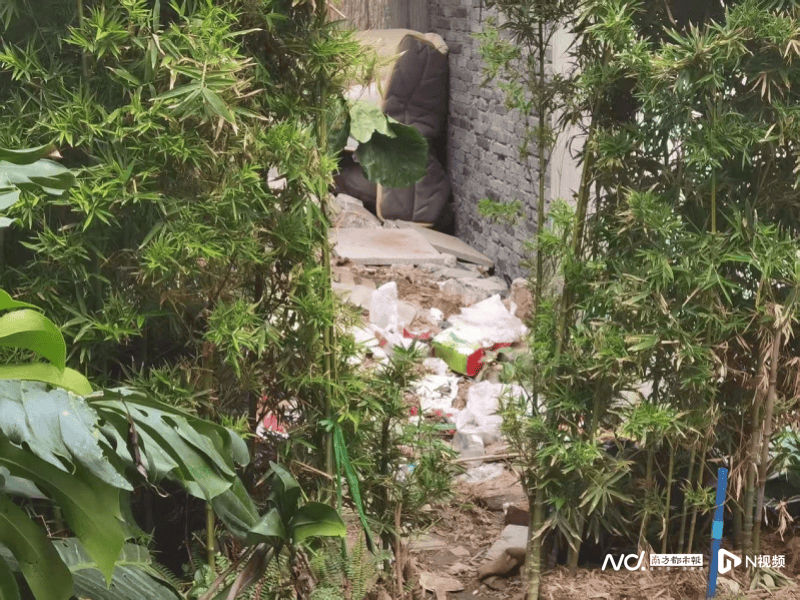 暗访回头看:广州口袋公园乱象整改成效如何<strong></p>
<p>高材生虚拟币案例</strong>?记者再探