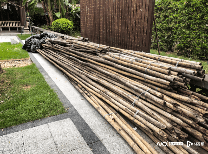 暗访回头看:广州口袋公园乱象整改成效如何<strong></p>
<p>高材生虚拟币案例</strong>?记者再探