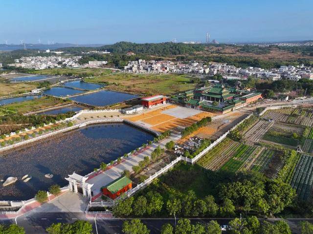 这个经济大省<strong></p>
<p>高材生虚拟币案例</strong>，为何多地镇街撤并？