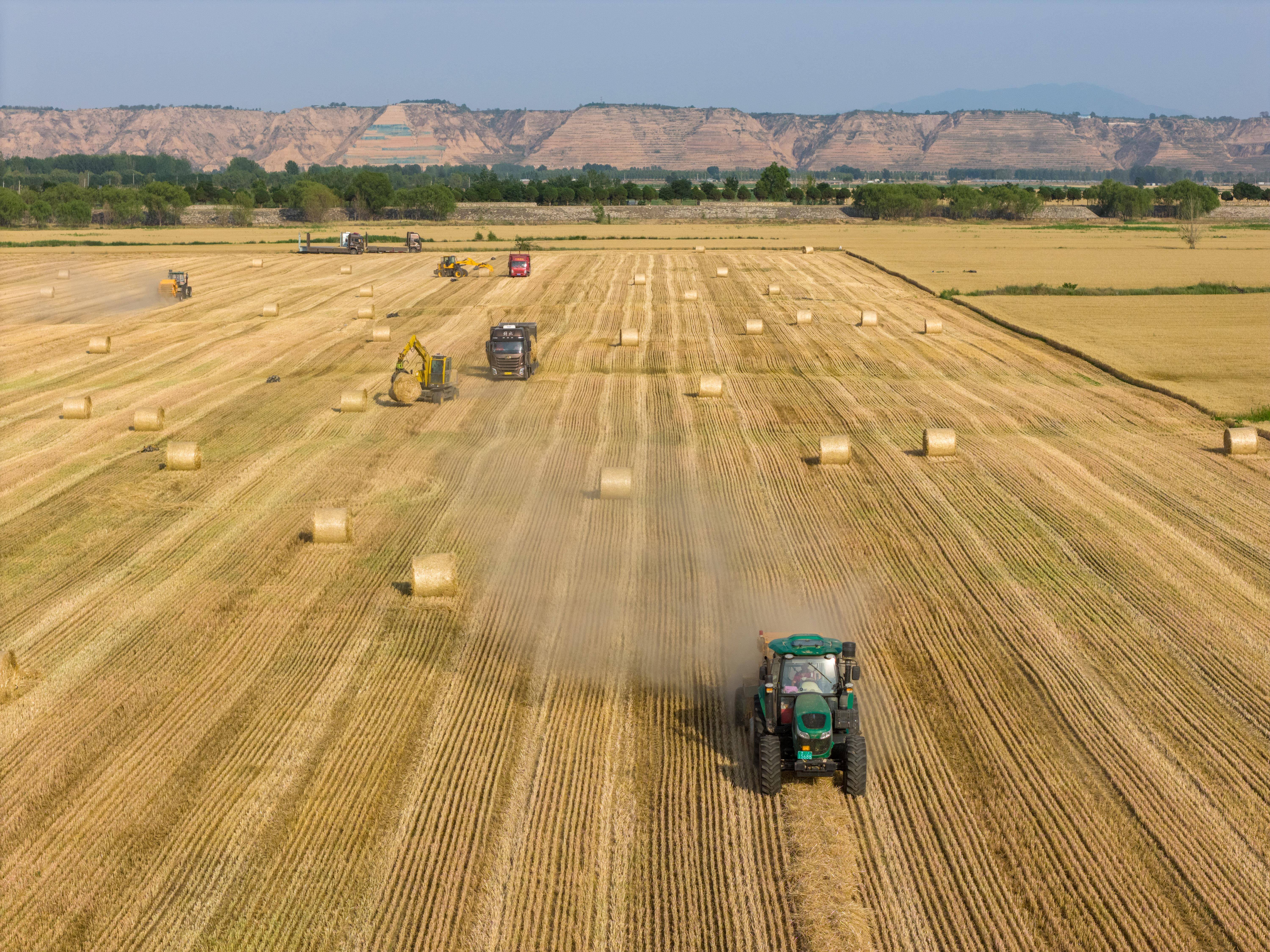 时政微观察丨为<strong></p>
<p>u虚拟币</strong>了前无古人的伟大事业