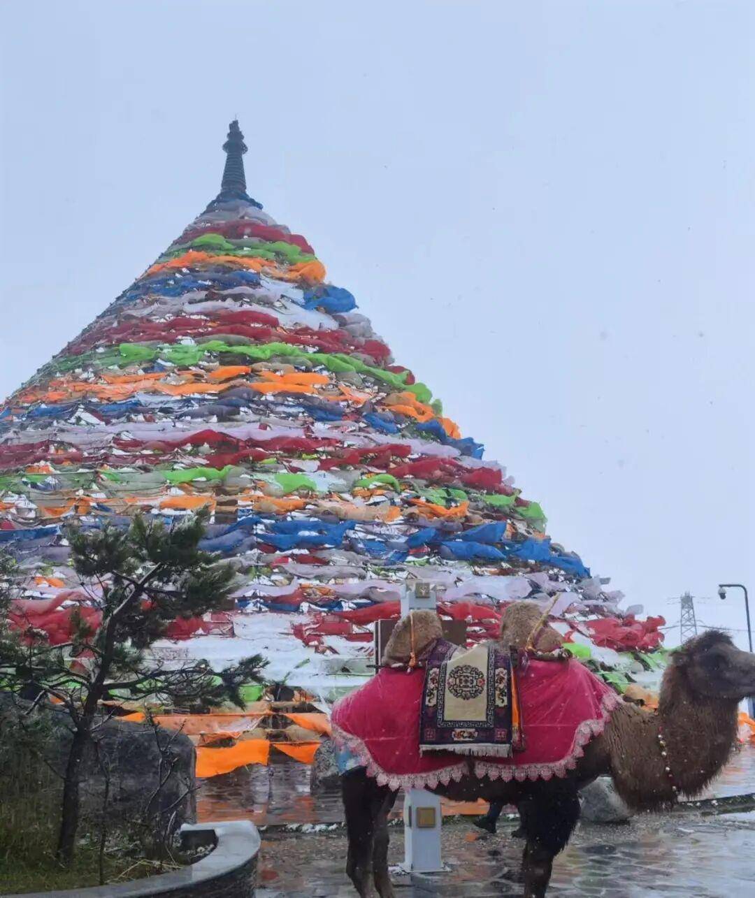 多地突降大雪<strong></p>
<p>u虚拟币</strong>！