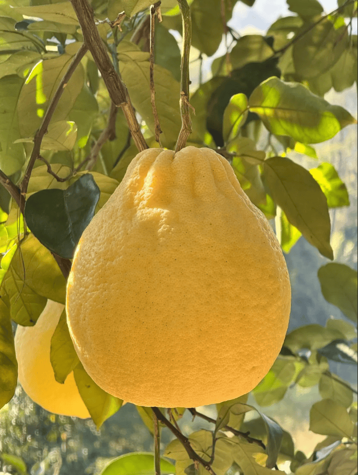 没有什么能阻挡！今天<strong></p>
<p>私人挖虚拟币</strong>，广西人就是要回家！