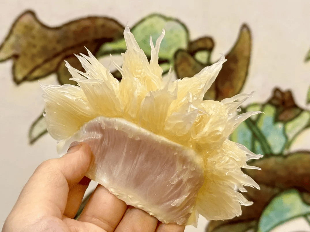 没有什么能阻挡！今天<strong></p>
<p>私人挖虚拟币</strong>，广西人就是要回家！