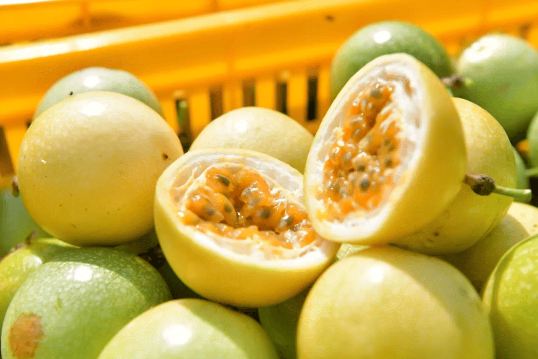 没有什么能阻挡！今天<strong></p>
<p>私人挖虚拟币</strong>，广西人就是要回家！