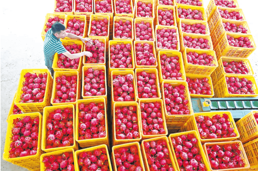 没有什么能阻挡！今天<strong></p>
<p>私人挖虚拟币</strong>，广西人就是要回家！