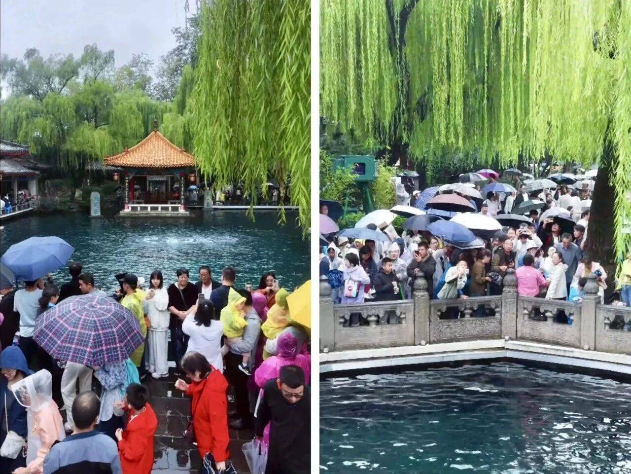 央视聚焦济南泉水游！10月5日，30家景区共接待游客45.27万人次