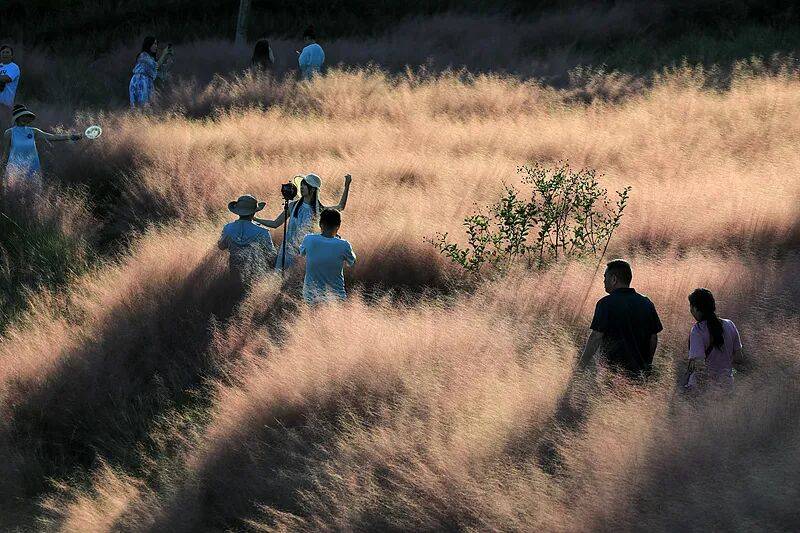 打卡拍照<strong></p>
<p>十部委虚拟币</strong>,再美也不能用生命对焦