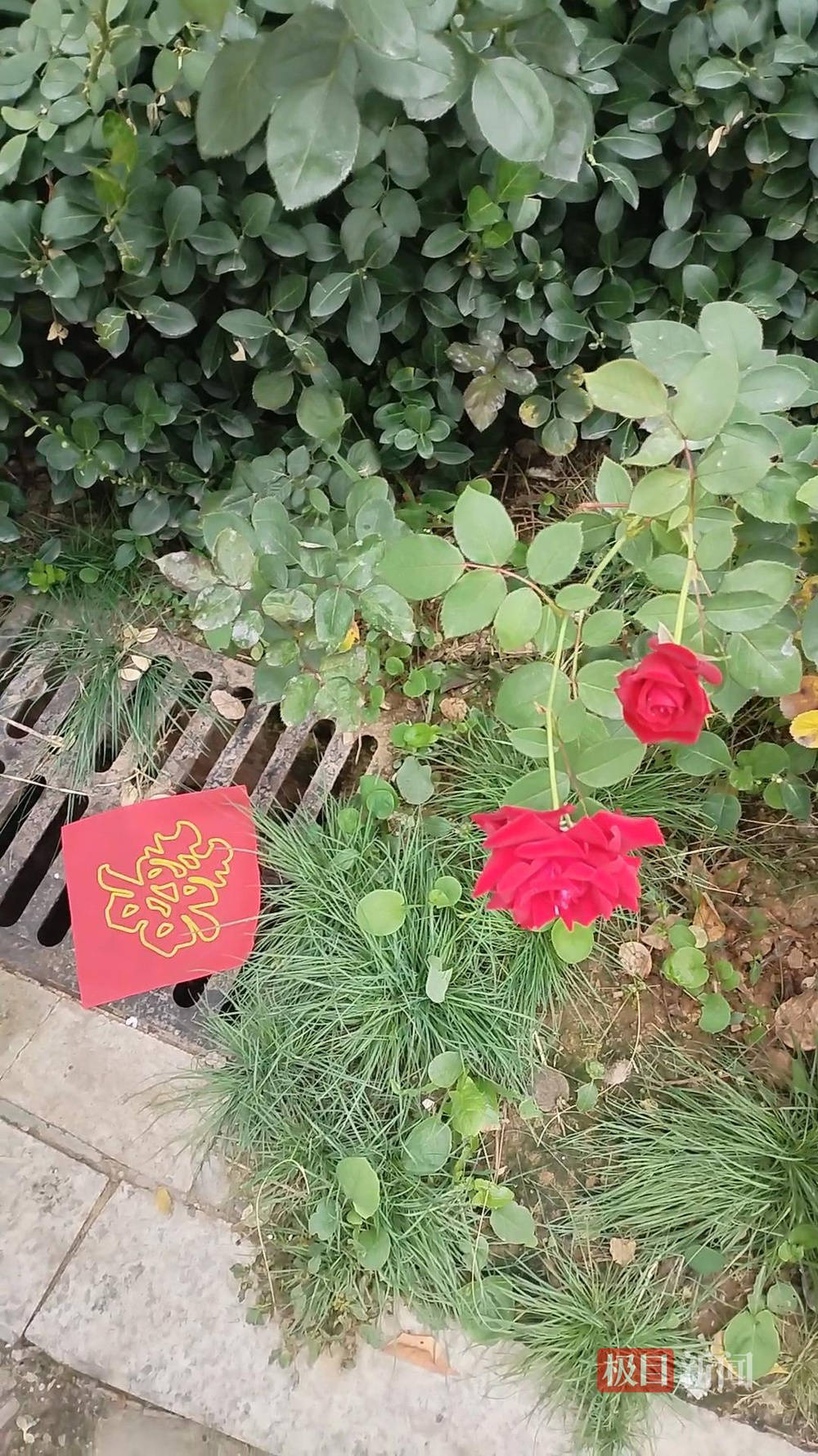 山西婚礼要在下水道井盖贴“喜”字？有的井盖被贴了8张<strong></p>
<p>十部委虚拟币</strong>，当地居民：寓意不踩坑、驱晦迎喜