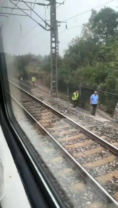 湖北一列车撞上野猪致停运<strong></p>
<p>虚拟币挖矿</strong>,铁路局:野猪已无害化处理,列车正常运行;附近曾发生多起野猪伤人事件