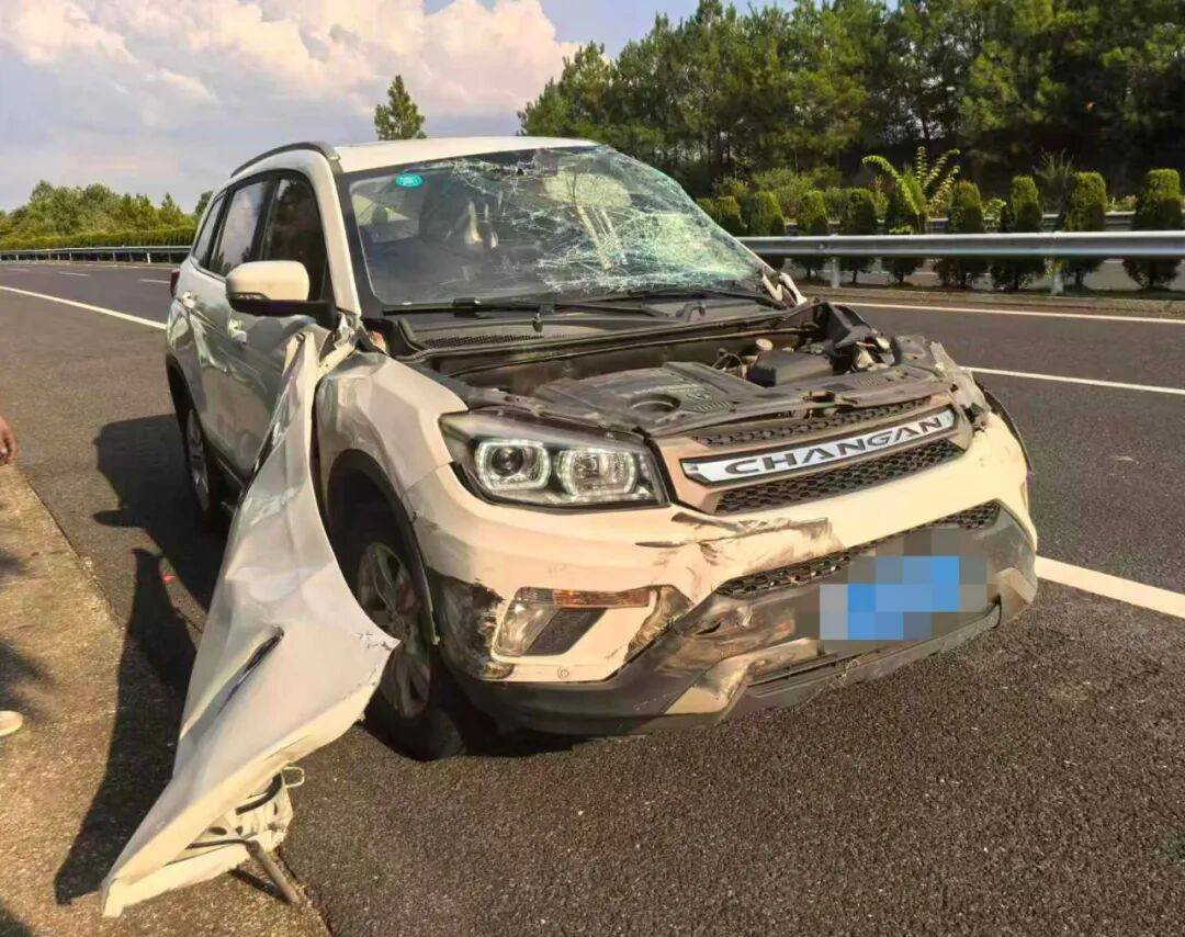 “我撒谎天打雷劈!”男子高速突然强行变道致翻车<strong></p>
<p>虚拟币挖矿</strong>,反诬赖对方