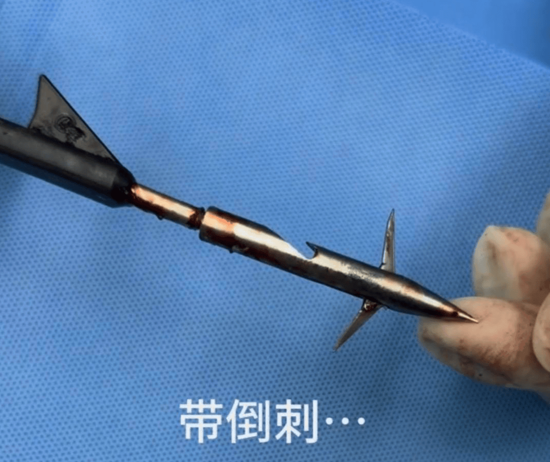 教育局回应“一教师用弓箭射杀小狗”：不实<strong></p>
<p>虚拟币挖矿</strong>，小狗进学校前就被射伤