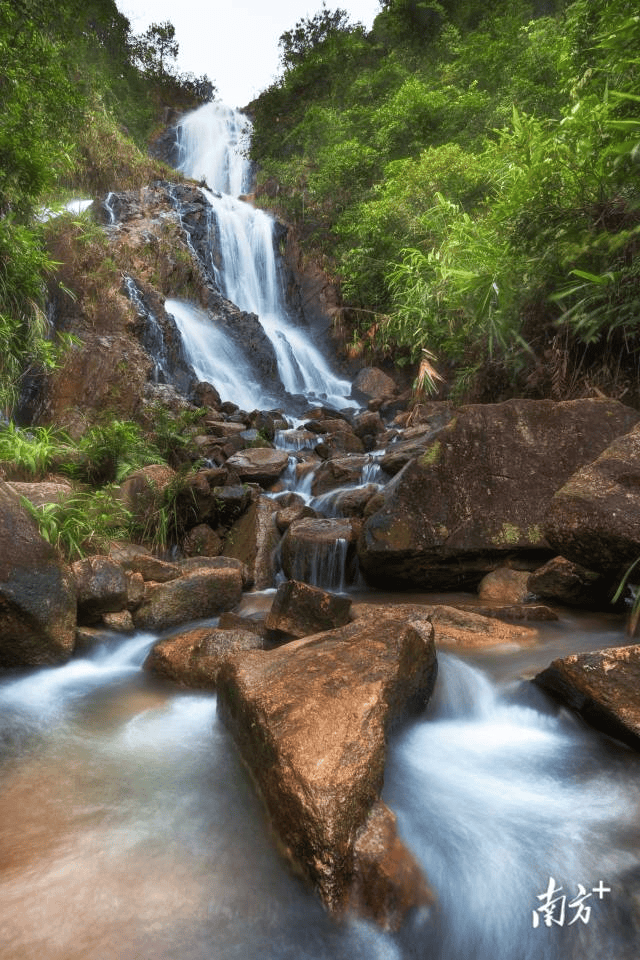 镇街周报｜佛山“双节”文旅成绩单出炉<strong></p>
<p>整治工作自查报告</strong>，谁最吸睛