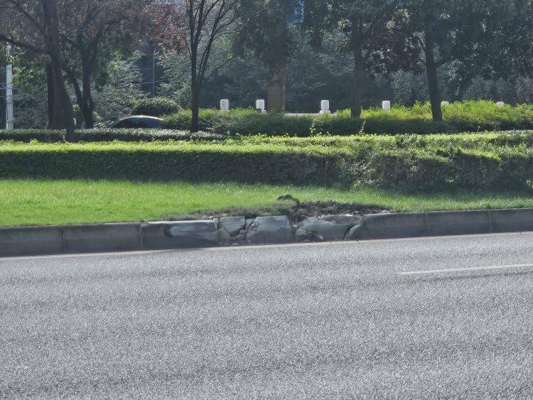 成都发生一起严重交通事故<strong></p>
<p>整治工作自查报告</strong>，上游新闻实地探访：燃烧留下的印记仍在