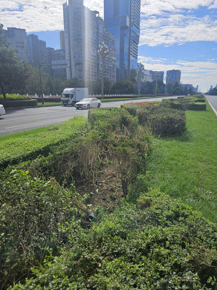 成都发生一起严重交通事故<strong></p>
<p>整治工作自查报告</strong>，上游新闻实地探访：燃烧留下的印记仍在