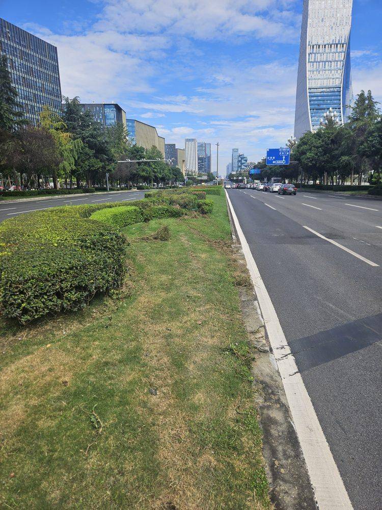 成都发生一起严重交通事故<strong></p>
<p>整治工作自查报告</strong>，上游新闻实地探访：燃烧留下的印记仍在