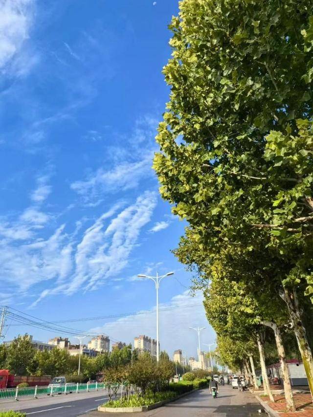 济南<strong></p>
<p>整治工作自查报告</strong>，转晴！山东，转晴！好久不见的太阳，来了！