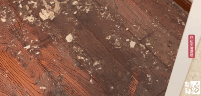 上海一业主推开家门瞬间懵了<strong></p>
<p>整治工作自查报告</strong>！精装房竟成“化粪池”……