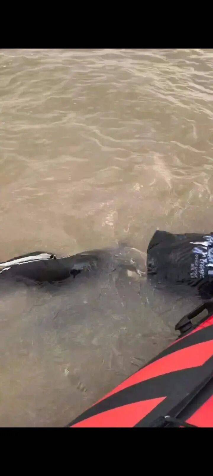 230斤重小伙酒后落水<strong></p>
<p>整治工作自查报告</strong>，漂浮7小时终获救……