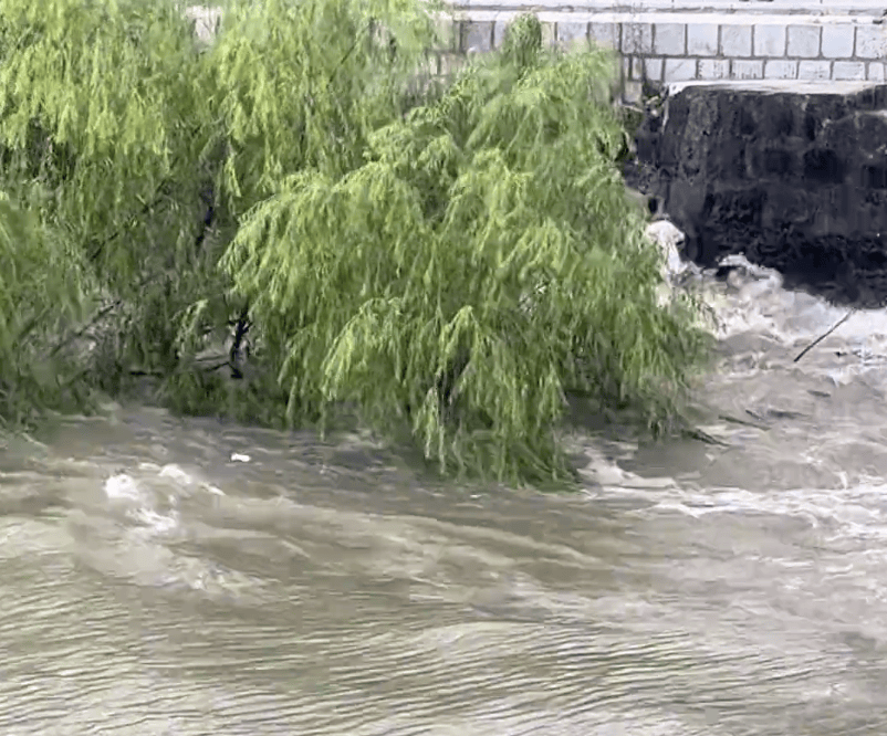 230斤重小伙酒后落水<strong></p>
<p>整治工作自查报告</strong>，漂浮7小时终获救……