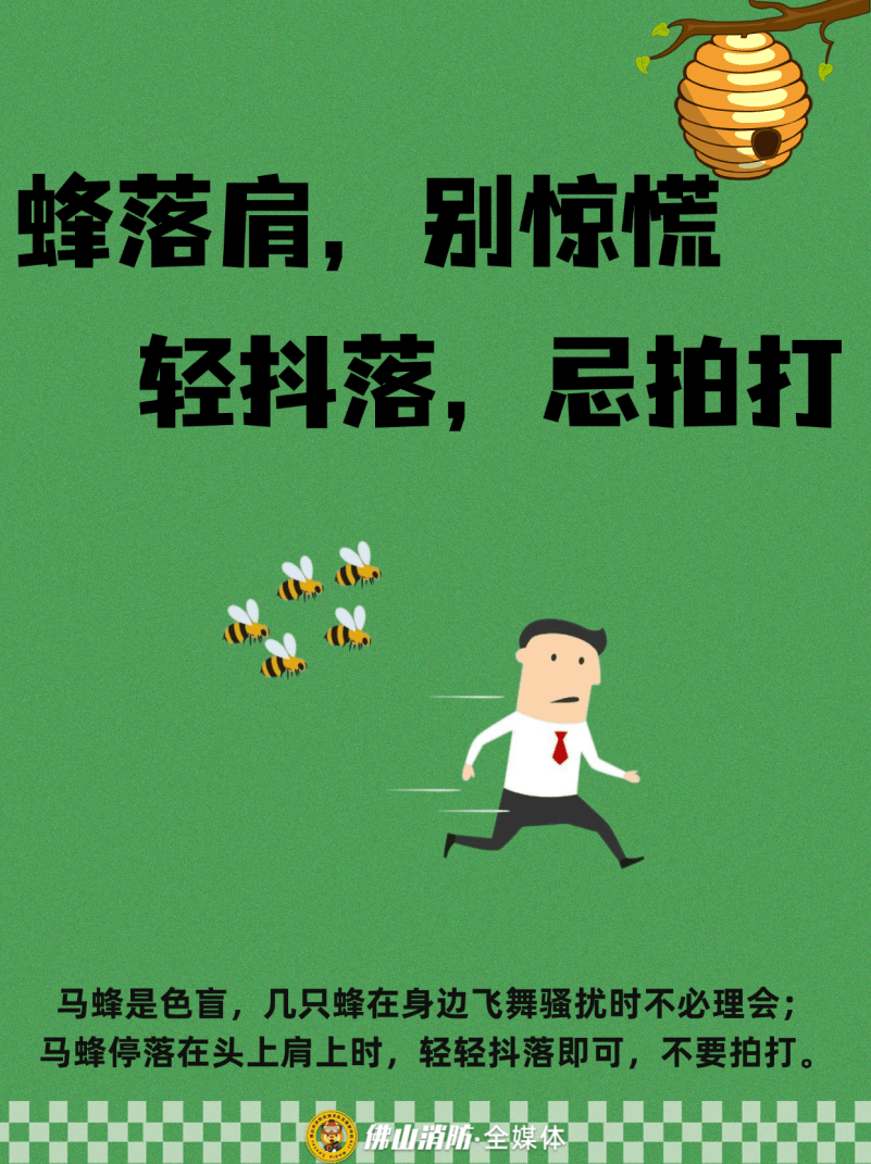 深圳一市民突遭马蜂围袭！已进入高发期<strong></p>
<p>整治工作自查报告</strong>，千万别招惹！