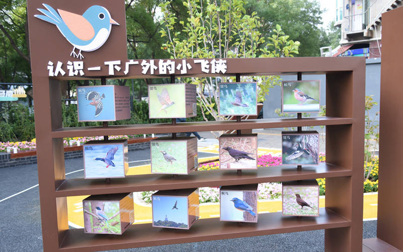 西城区广外街道:“断头路”变身口袋公园<strong></p>
<p>虚拟币黄白线代表什么</strong>,装满民生“微幸福”