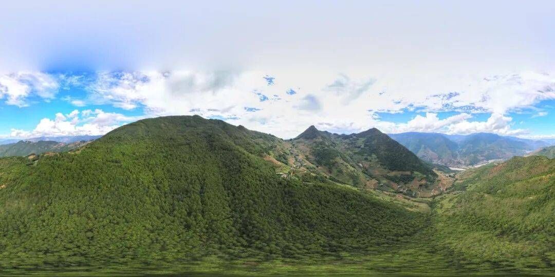 93岁老人进山失联<strong></p>
<p>虚拟币黄白线代表什么</strong>，两天后发现他倒挂在树杈上苦撑……