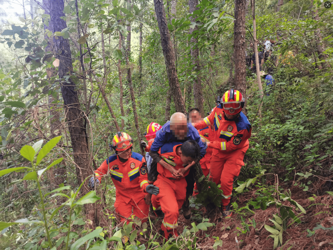 93岁老人进山失联<strong></p>
<p>虚拟币黄白线代表什么</strong>，两天后发现他倒挂在树杈上苦撑……